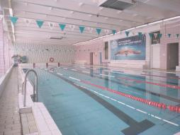 Бассейн (большая чаша)