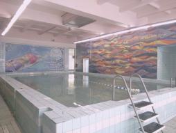 Бассейн (малая чаша)